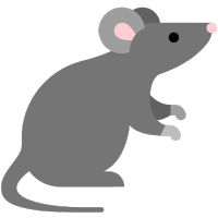icon rat